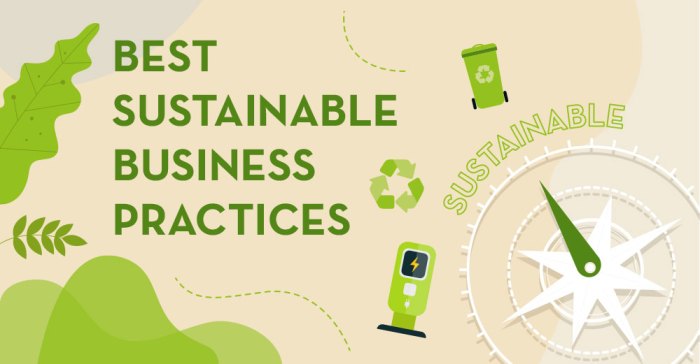 Implementing sustainable practices in business operations