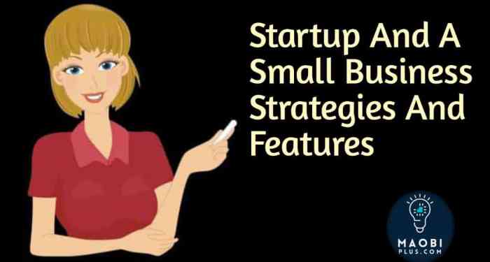 Startups startup piggery eloquens feasibility Business strategies for small startups