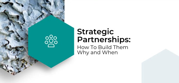 Partnerships strategic developing whether Building strategic partnerships for business growth