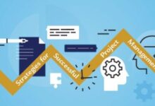 Strategies for successful project management