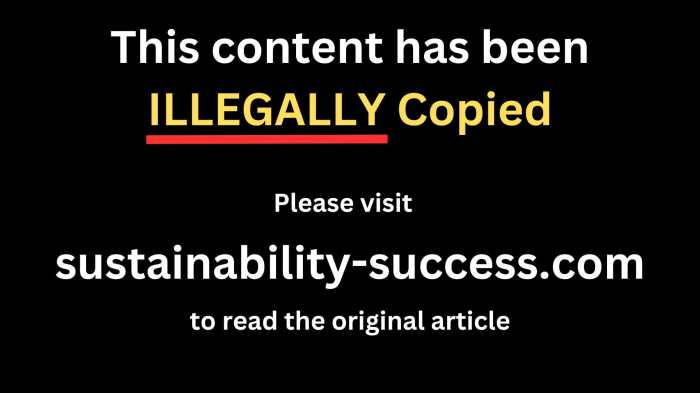 Implementing sustainable practices in business operations