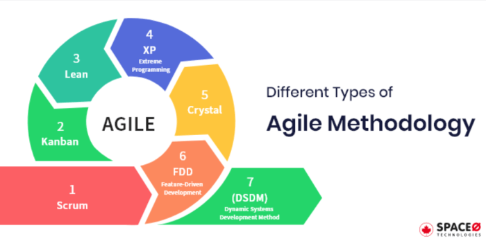 Agile methodology development software