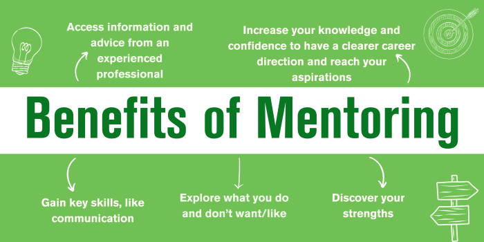 Benefits of mentoring programs for professional development